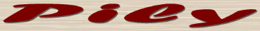 servicios